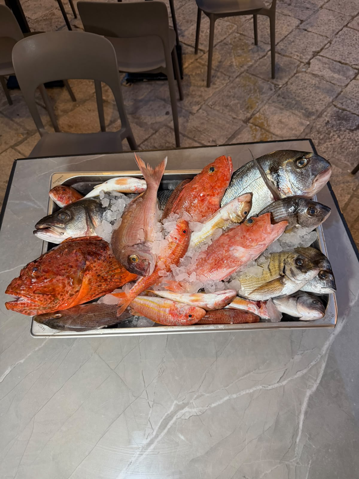 Pesce fresco del giorno su ghiaccio al ristorante a Locorotondo